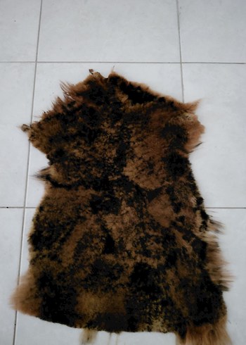 Hakiki Koyun Postu-İMALAT FİYATINA - Görsel 3