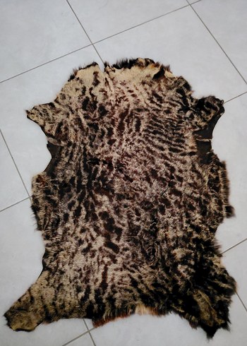 Hakiki Koyun Postu-İMALAT FİYATINA - Görsel 4