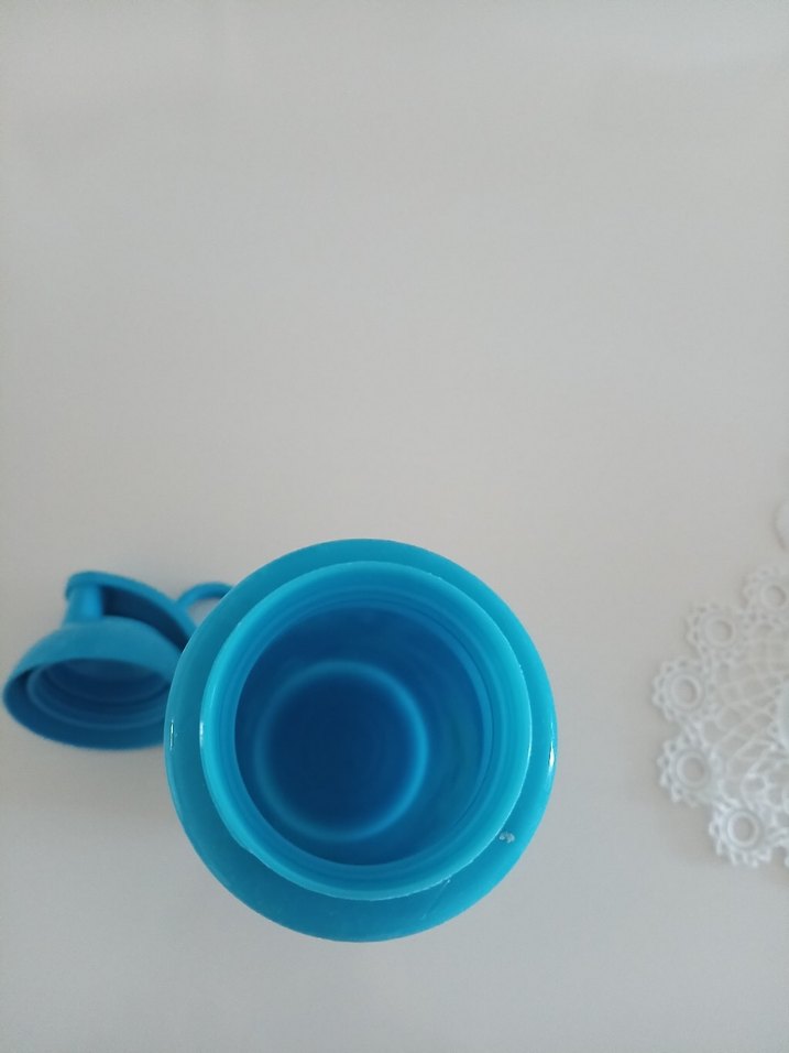 Disney Frozen Mavi Çocuk Su Matarası. - Görsel 5