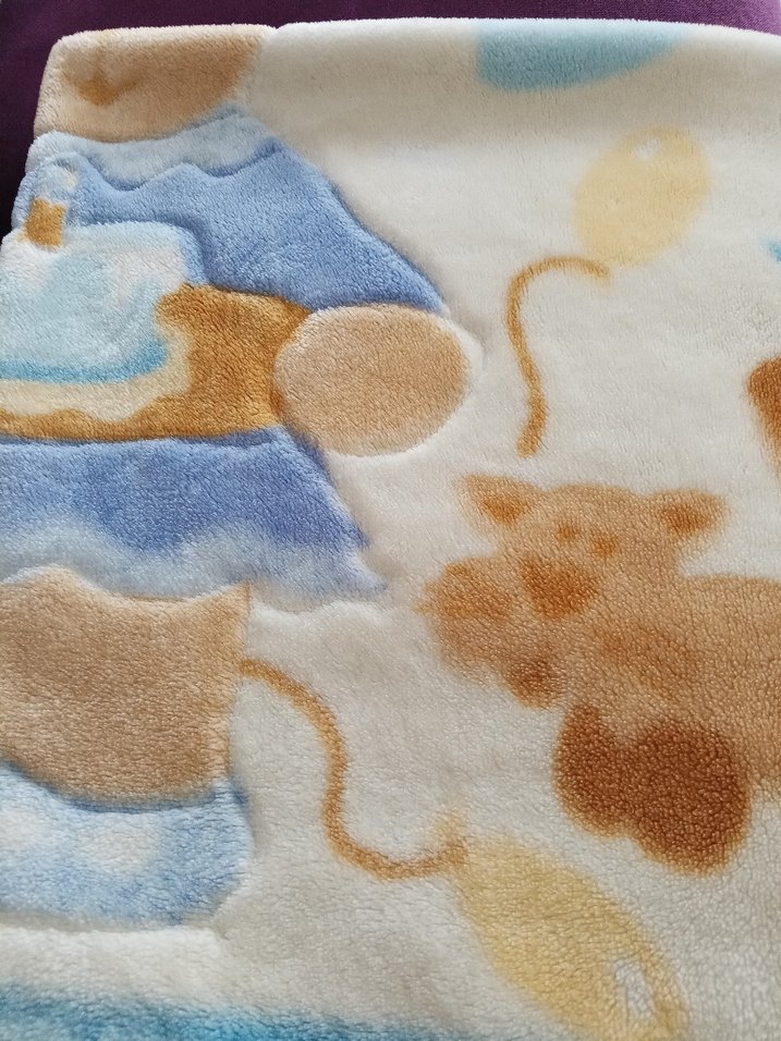 Mavi Baskılı Çocuk Battaniyesi - Görsel 5