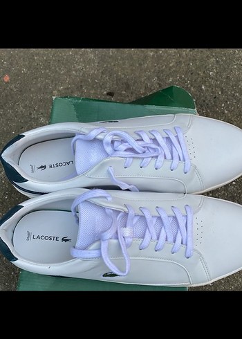 Beyaz Lacoste Bağcıklı Spor Ayakkabı