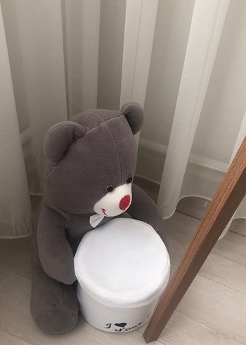 Diğer Gri Peluş Ayıcık Oyuncak