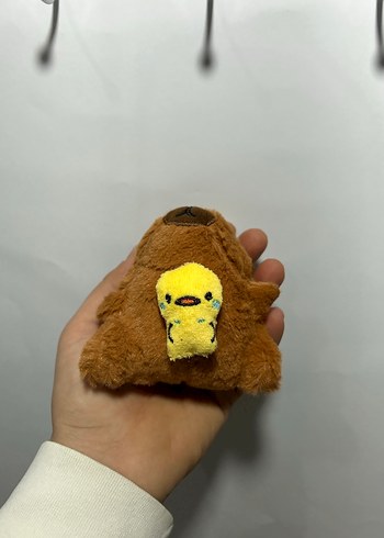 Kapibara - Görsel 7