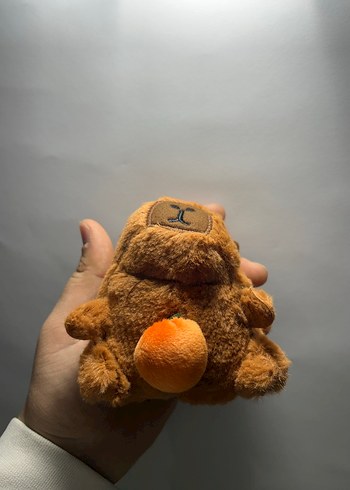 Kapibara - Görsel 10