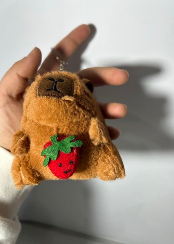 Kapibara - Görsel 12