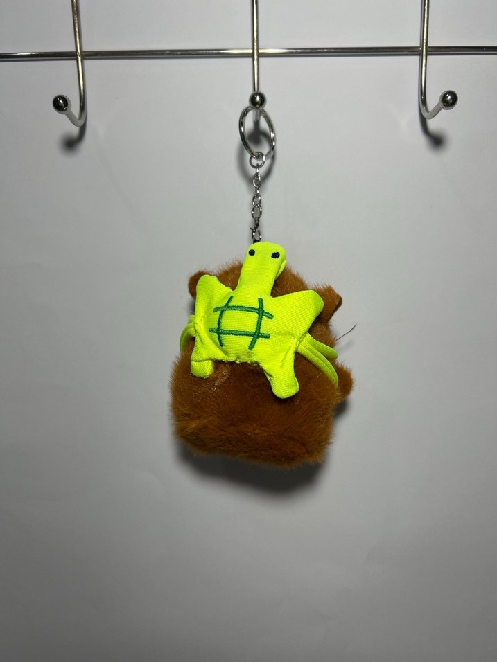 Kapibara - Görsel 2