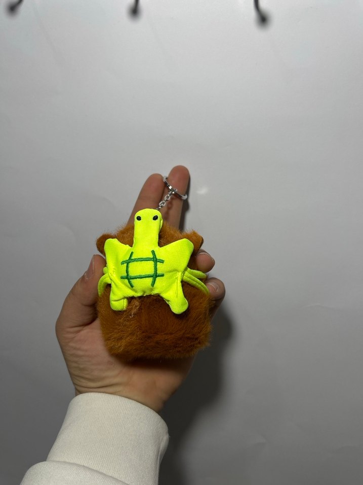 Kapibara - Görsel 4