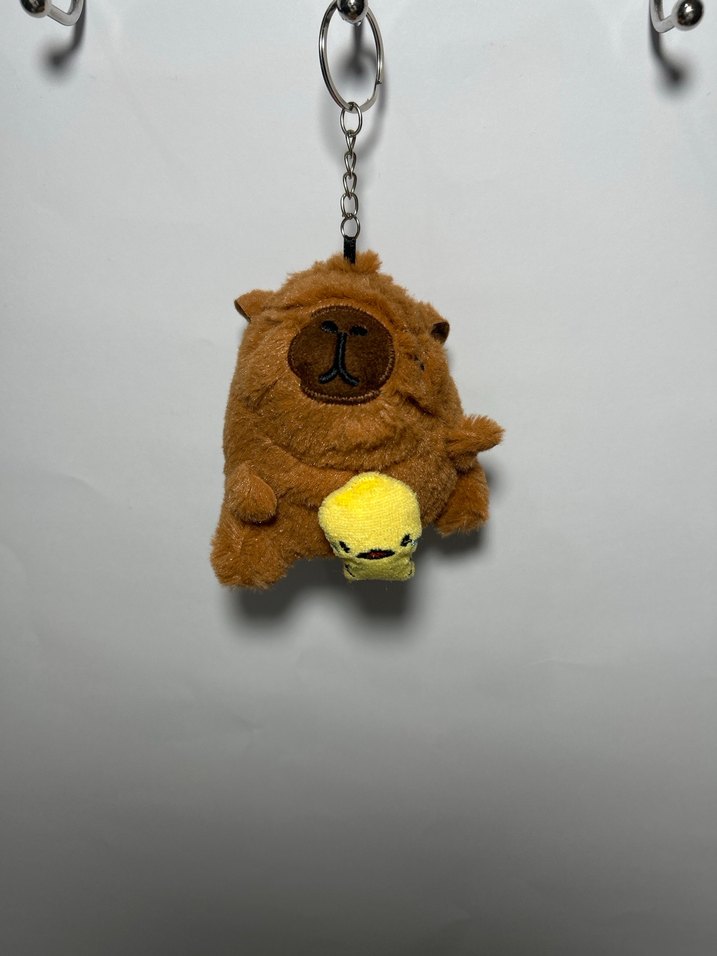 Kapibara - Görsel 5