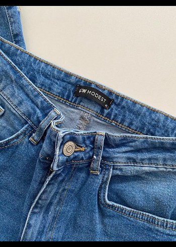 LC Waikiki Kadın Mavi Denim Regular Fit Jean