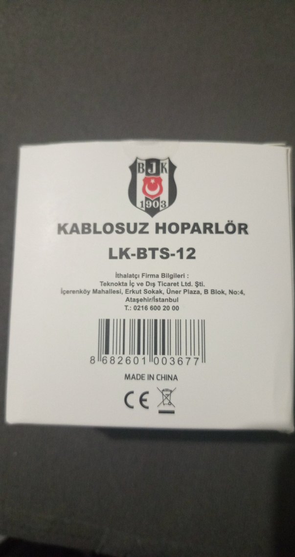 Beşiktaş Kablosuz Hoparlör LK-BTS-12 - Görsel 3