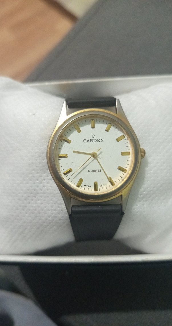 Carden Erkek Klasik Quartz Kol Saati - Görsel 2