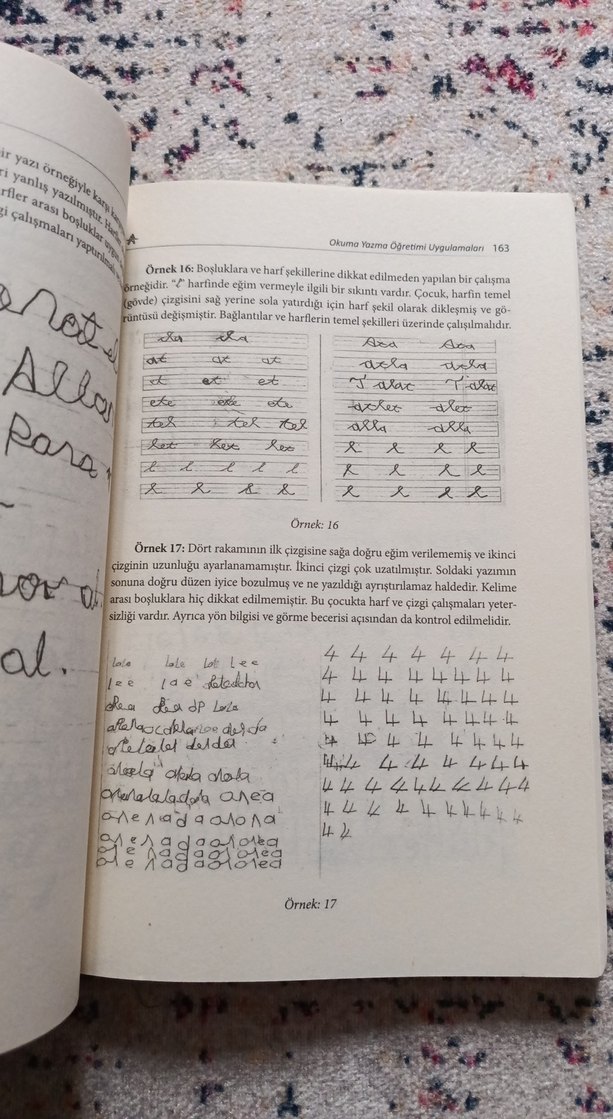 Türkçe İlk Okuma Yazma Öğretimi - Prof. Dr. Hayati Akyol - Görsel 4