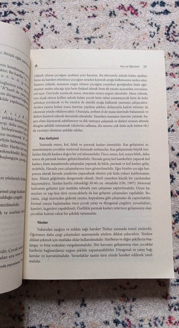 Türkçe İlk Okuma Yazma Öğretimi - Prof. Dr. Hayati Akyol - Görsel 2