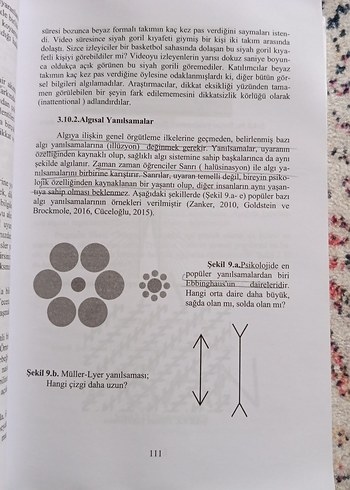 Psikolojiye Giriş - 3. Baskı - Görsel 10