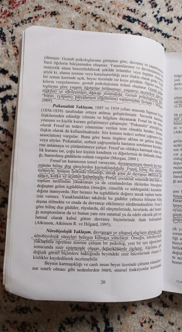 Psikolojiye Giriş - 3. Baskı - Görsel 4