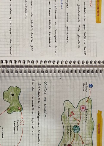 Ayt biyoloji konularını içeren öğrenci defteri