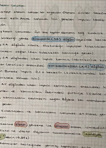 Beden Ayt biyoloji konularını içeren öğrenci defteri