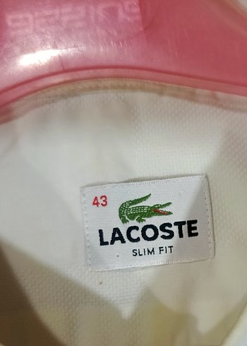 Lacoste 43 beden slim fit Pamuklu Erkek Gömlek - Görsel 4