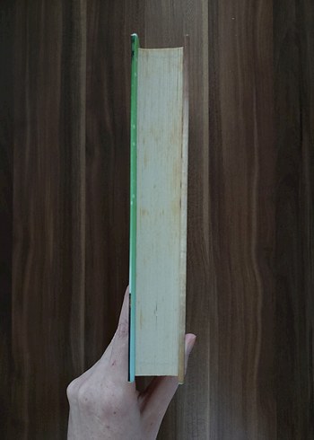 Lauren James - Bir Sonraki Hayatımız Romanı - Görsel 3