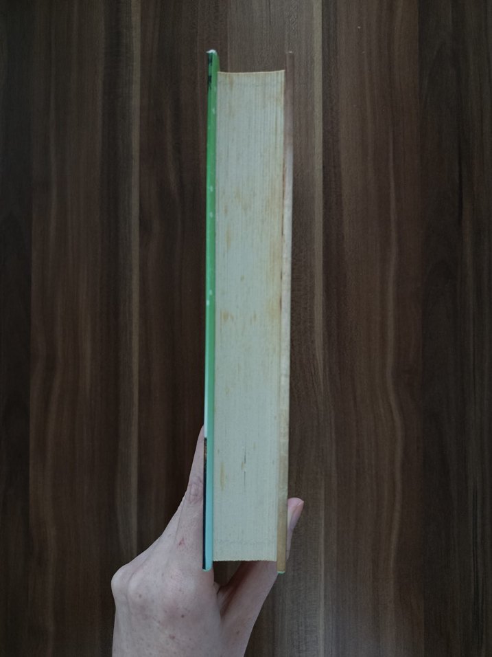 Lauren James - Bir Sonraki Hayatımız Romanı - Görsel 3