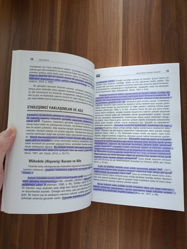 Aileyi Anlamak - Disiplinler Arası Yaklaşım Kitabı - Görsel 2