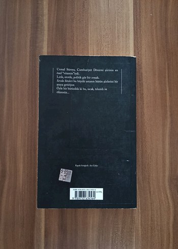 Sevda Sözleri - Cemal Süreya - Görsel 3