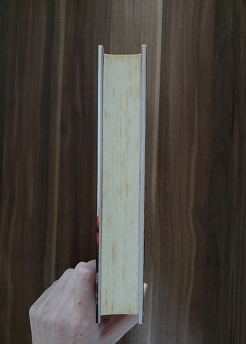 Hava Uyanıyor - Elise Kova - Görsel 3