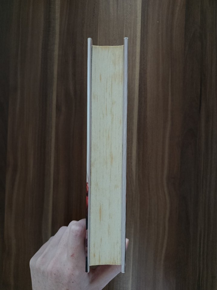 Hava Uyanıyor - Elise Kova - Görsel 3