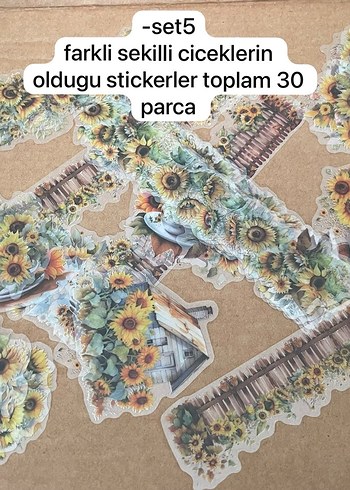 Beden Renk scrapbook setleri