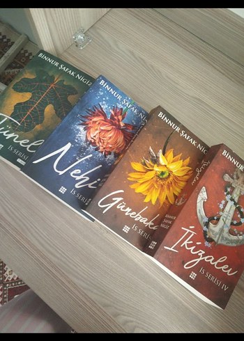 is serisi 4 kitap ( ciltli)