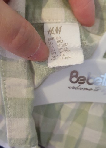 Erkek Gömlek Şort takım - Görsel 3