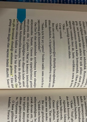 Beden Renk Dün, Bugün, Yarın ve Sonsuza Kadar Romanı