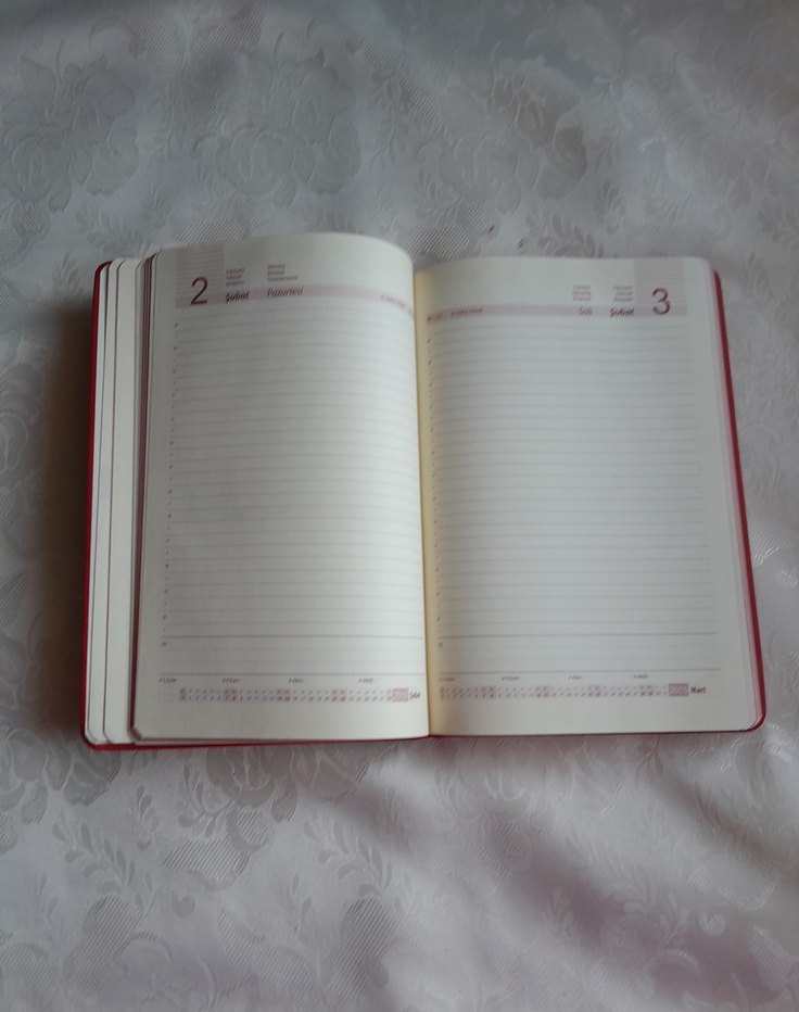 Koyu Kırmızı Planlayıcı AJANDA - Görsel 3