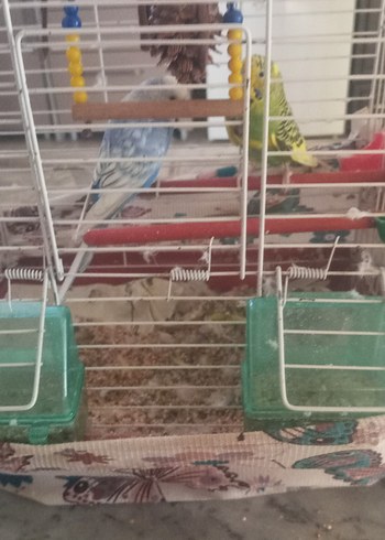 Gri Kuş Kafesi ve Oyuncak Seti