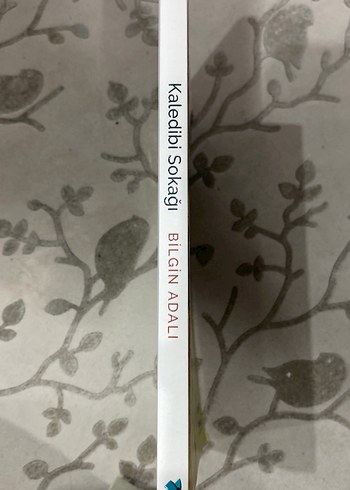 Beden Kaledibi Sokağı - Bilgin Adalı