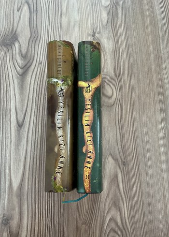 Beden Yeşilin Kızı Anne Roman Seti Ciltli (1 ve 2. Kitap)