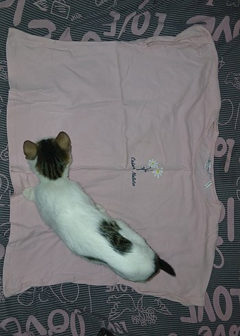 Koton Pembe Kısa Kollu Pamuklu Tişört