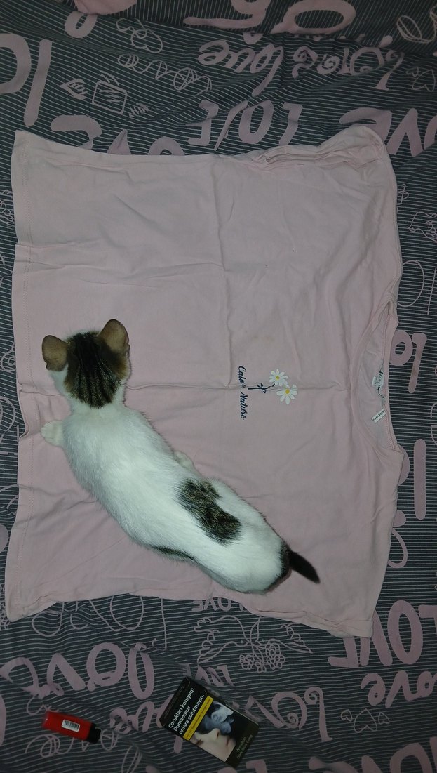 Pembe Kısa Kollu Pamuklu Tişört - Görsel 2