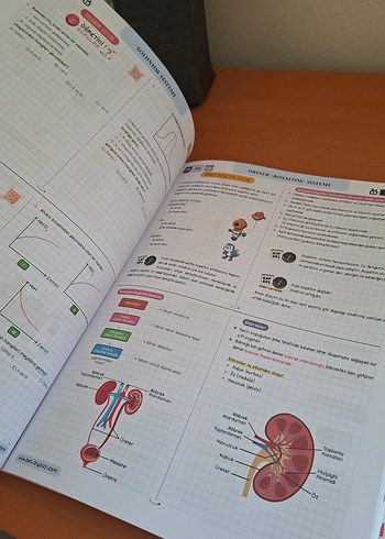  Betül Biyoloji 54 Günde AYT Kamp Kitabı