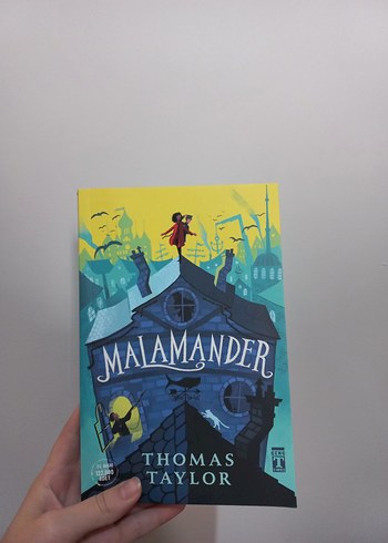 Maiamander - Thomas Taylor