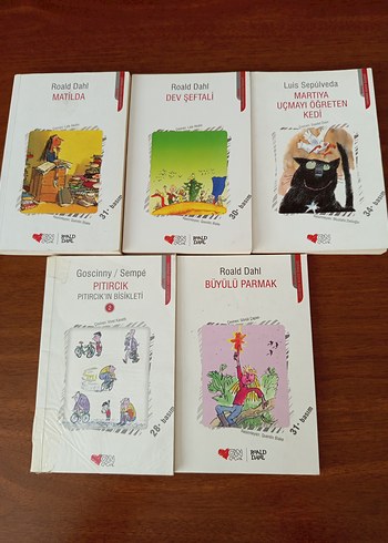 Roald Dahl Çocuk okuma kitabı