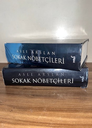 Aslı Arslan - Sokak Nöbetçileri Romanı