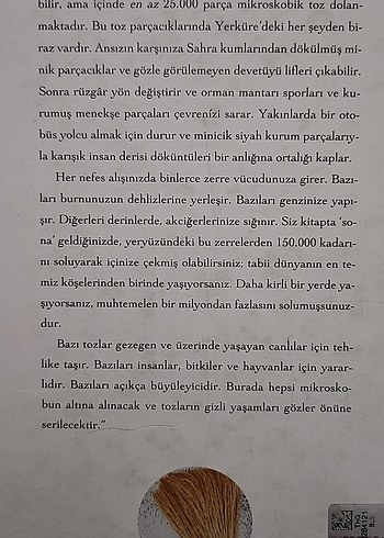 Tozun Gizli Hayatı - Hannah Holmes