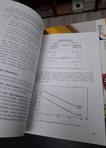 Tereyağı Teknolojisi Kitabı - Görsel 3
