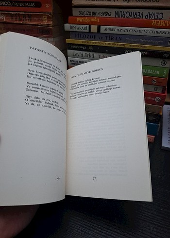 Philip Larkin - Seçilmiş Şiirler - Görsel 3