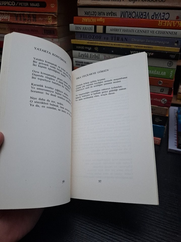 Philip Larkin - Seçilmiş Şiirler - Görsel 3