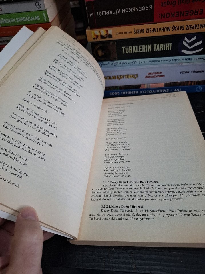 Türkçe Kompozisyon Kitabı - Ali Emirosmanoğlu - Görsel 2