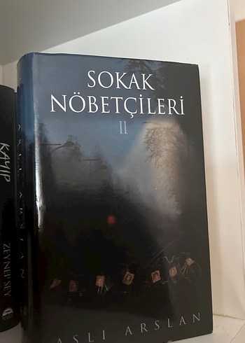  Beden Sokak Nöbetçileri II - Aslı Arslan