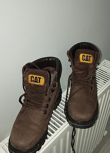 Cat bot