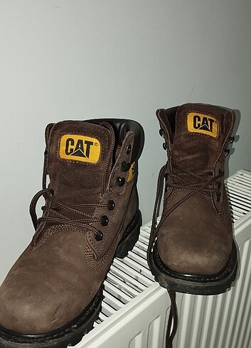 38 Beden Cat bot